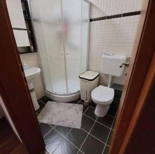 Apartment In Timisoara