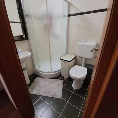 Apartment In Timisoara